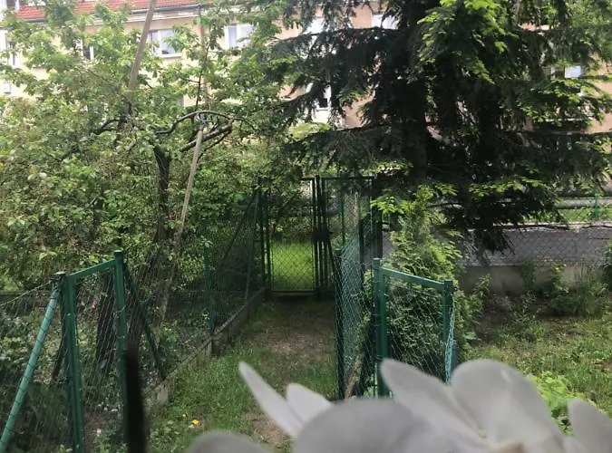 Wrzeszcz Проживание в семье Гданьск